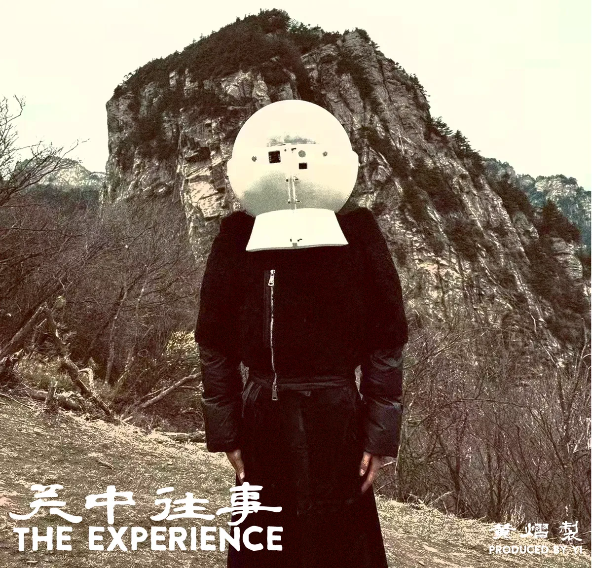 The Experience 关中往事 封面
